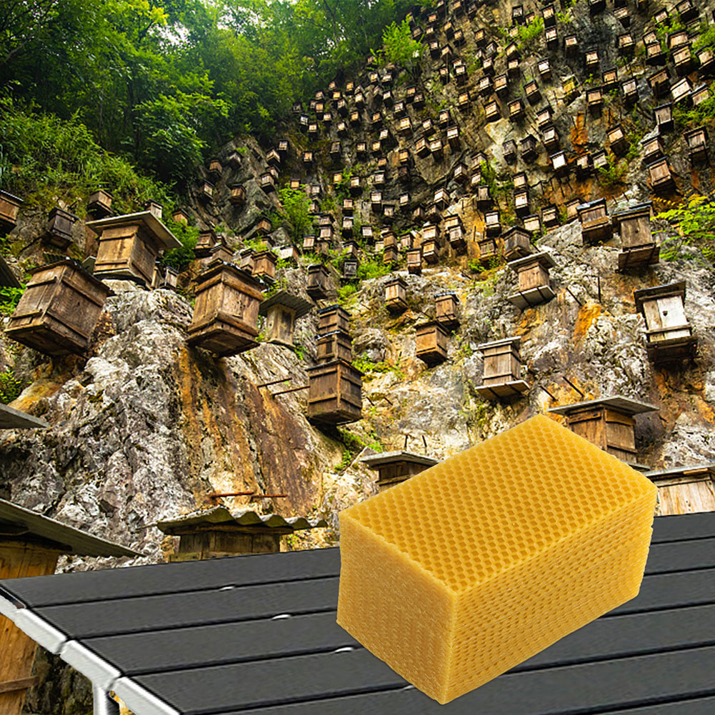 30Pcs Natural Beeswax Sheets B - Beeswax Sheet Roll 评论和价格